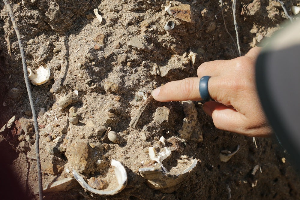 Pottery fragments