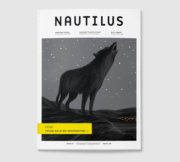 Issue 060