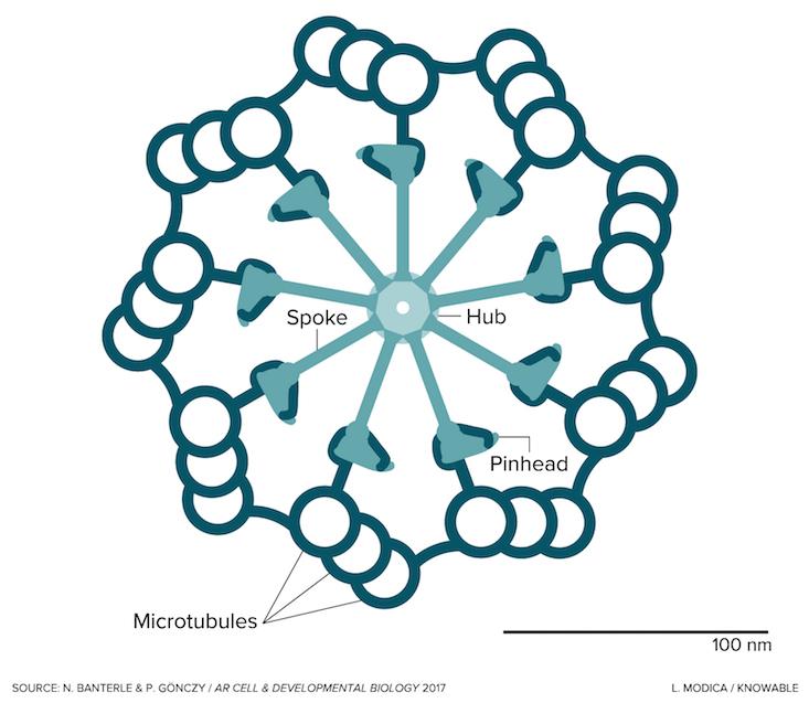 Article Recirculation Lead Image