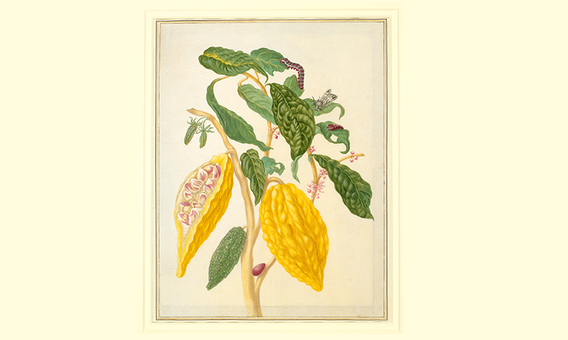 Article Recirculation Lead Image