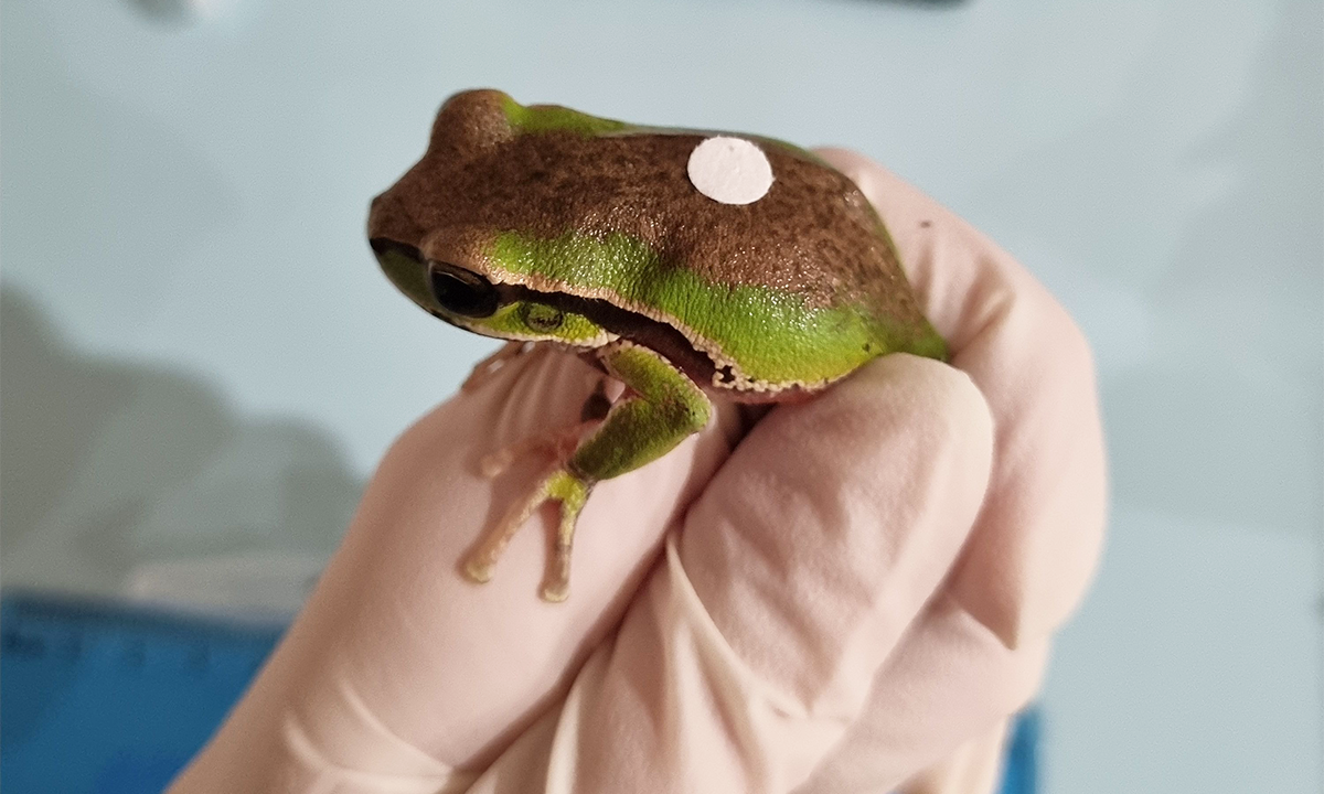 Article Sidebar Image