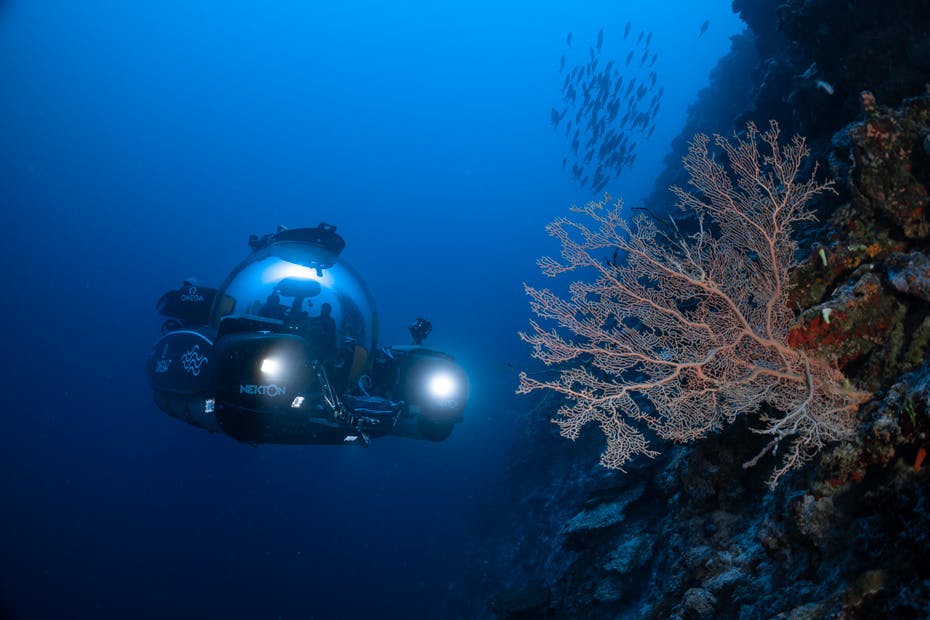 A race against time': how shipwrecks hold clues to humanity's future, Oceans