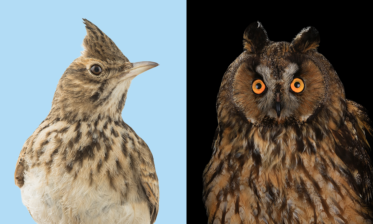 Article Sidebar Image