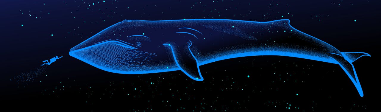blue whale brain size