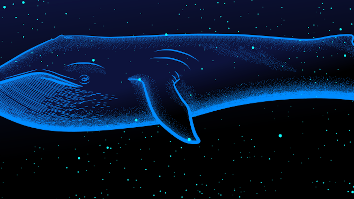 The Mystery of the Blue Whale Songs - Nautilus