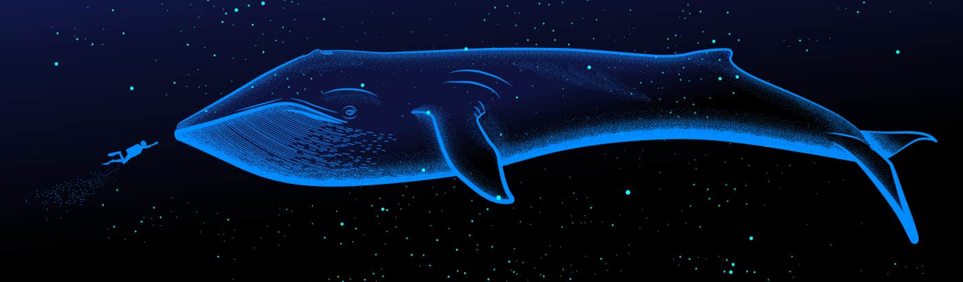 The Mystery of the Blue Whale Songs - Nautilus The Mystery of the Blue Whale Songs - Nautilus