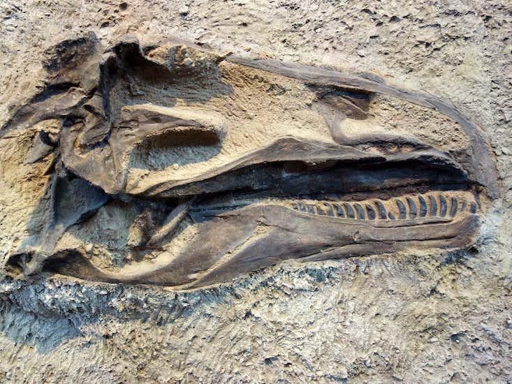 Article Recirculation Lead Image