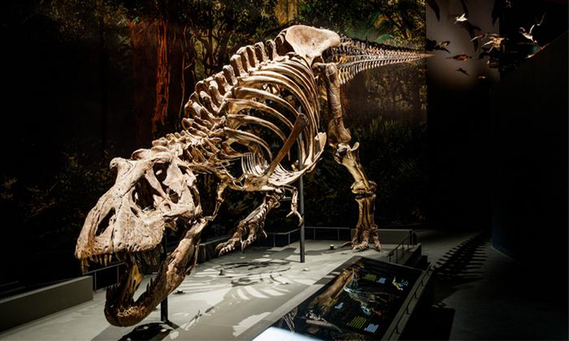 Article Recirculation Lead Image