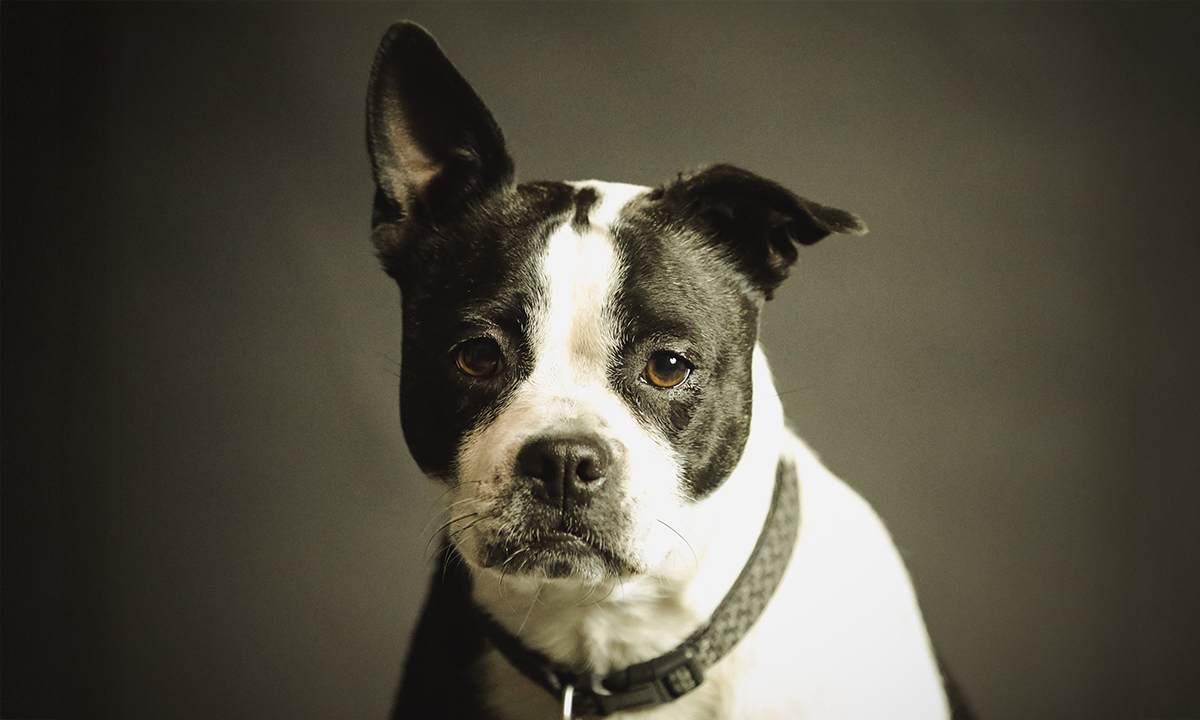 Article Sidebar Image