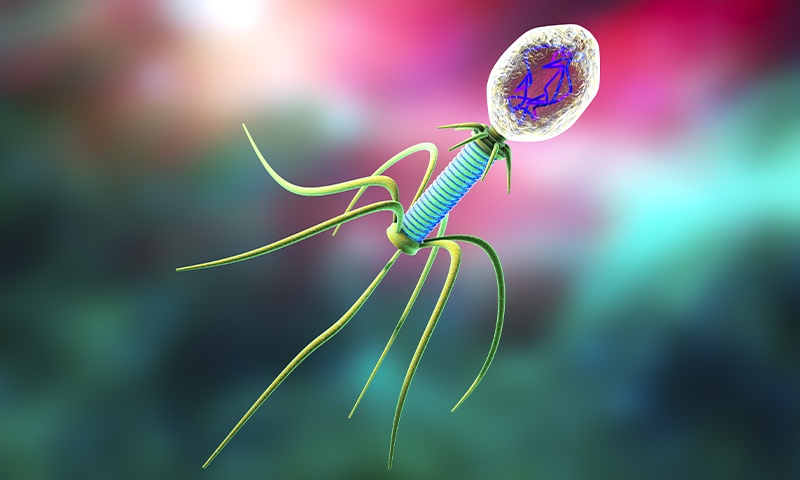 Article Recirculation Lead Image