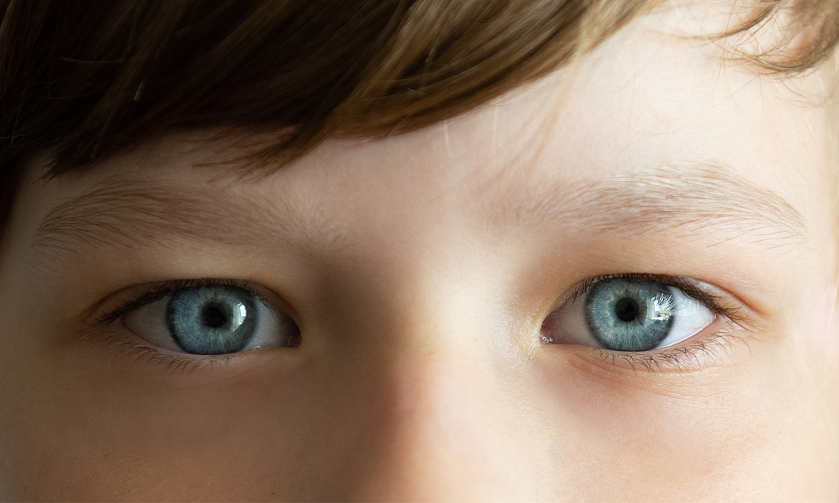 Article Sidebar Image