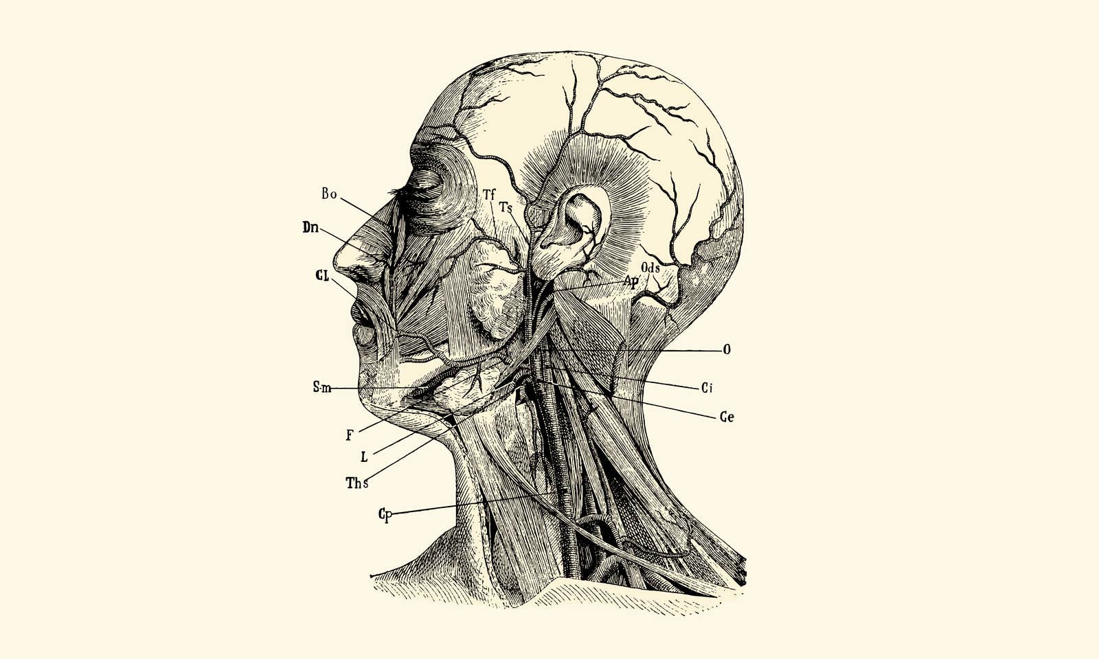 Article Lead Image