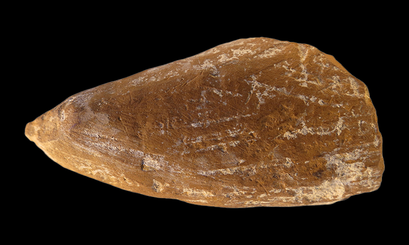 Article Recirculation Lead Image