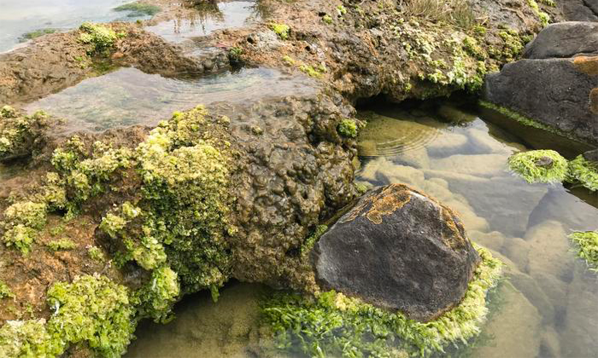 Article Sidebar Image