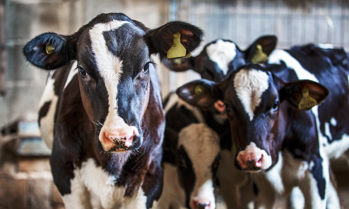 Article Recirculation Lead Image