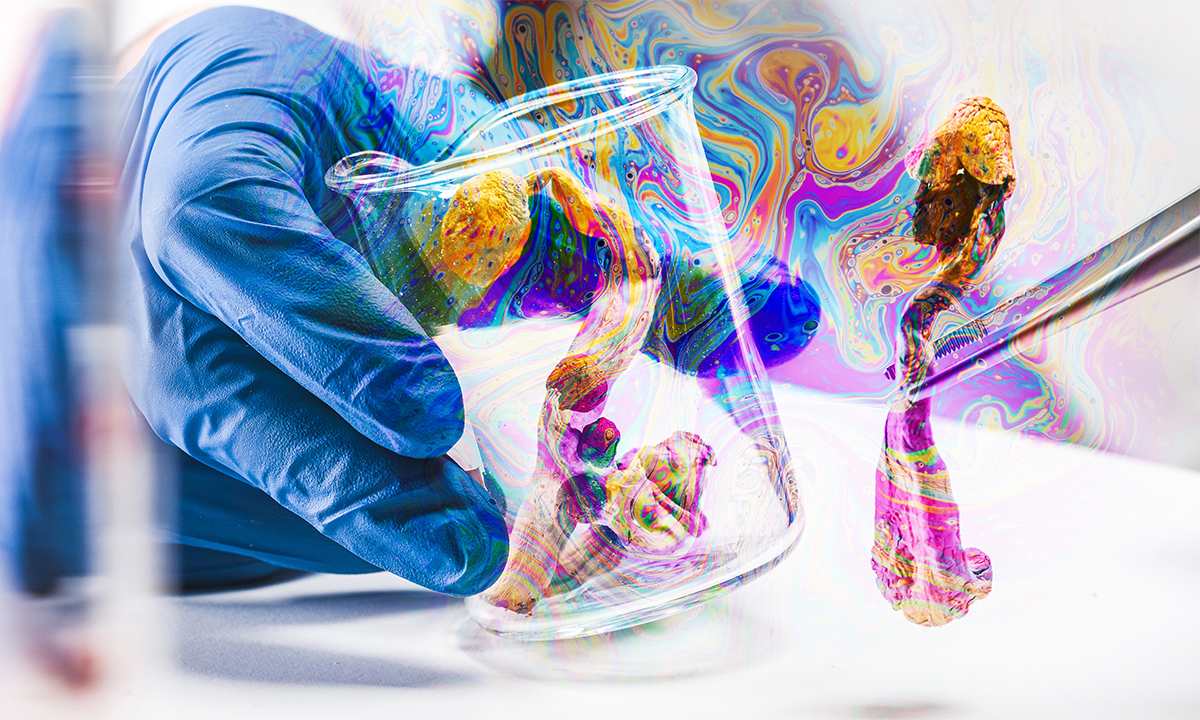 Article Sidebar Image