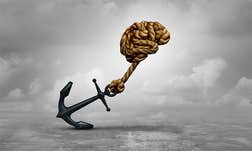 Article Sidebar Image