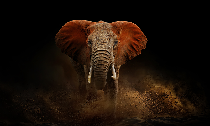 Article Recirculation Lead Image