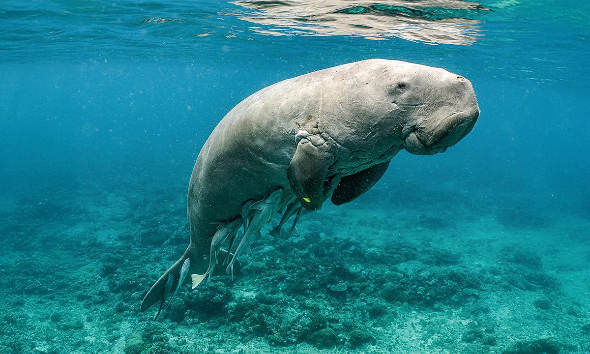 Article Recirculation Lead Image