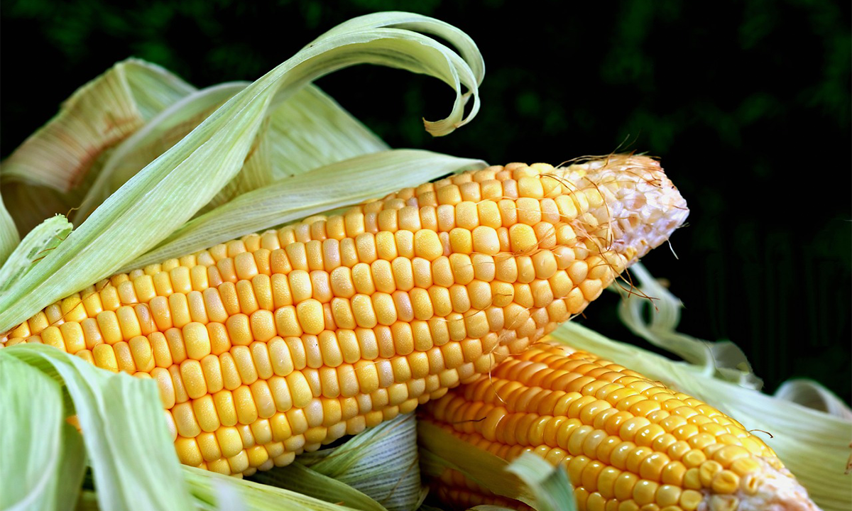 Article Sidebar Image