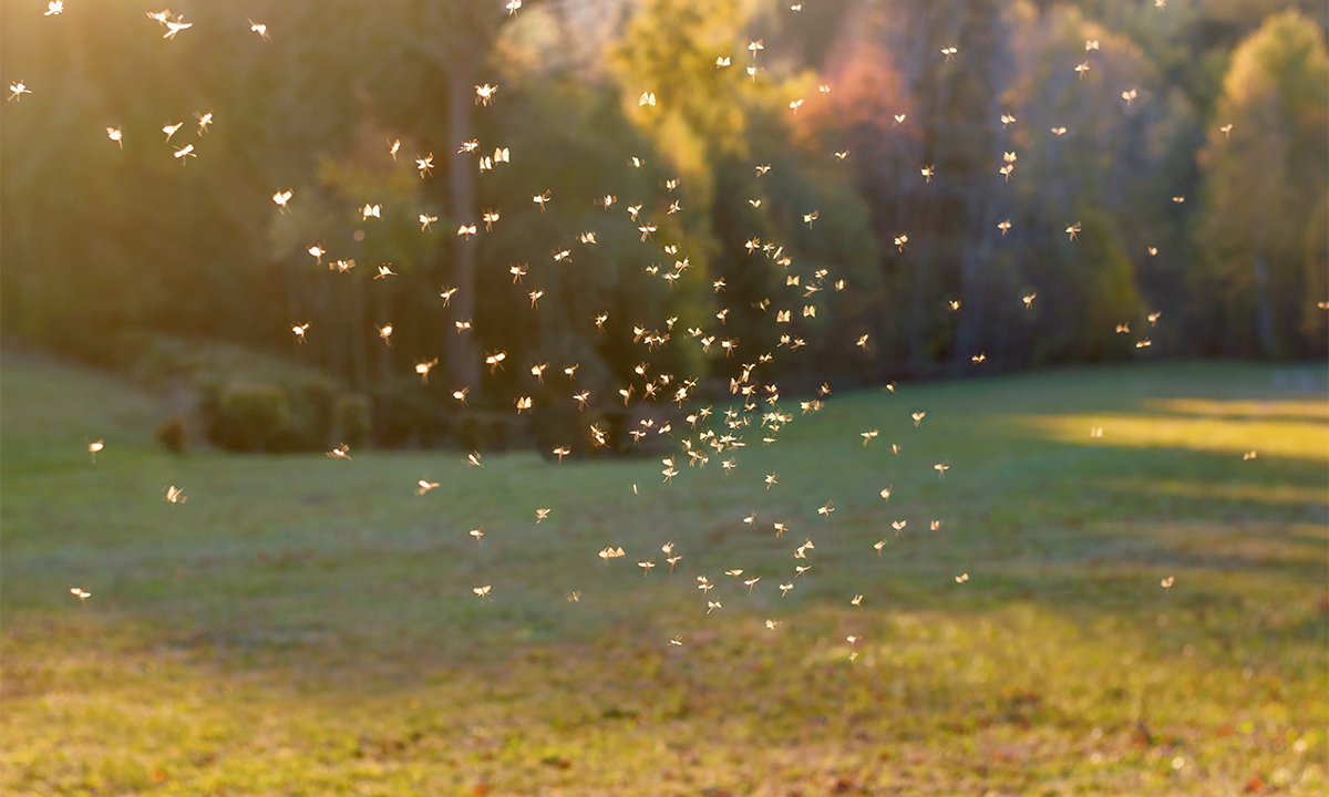 Article Recirculation Lead Image