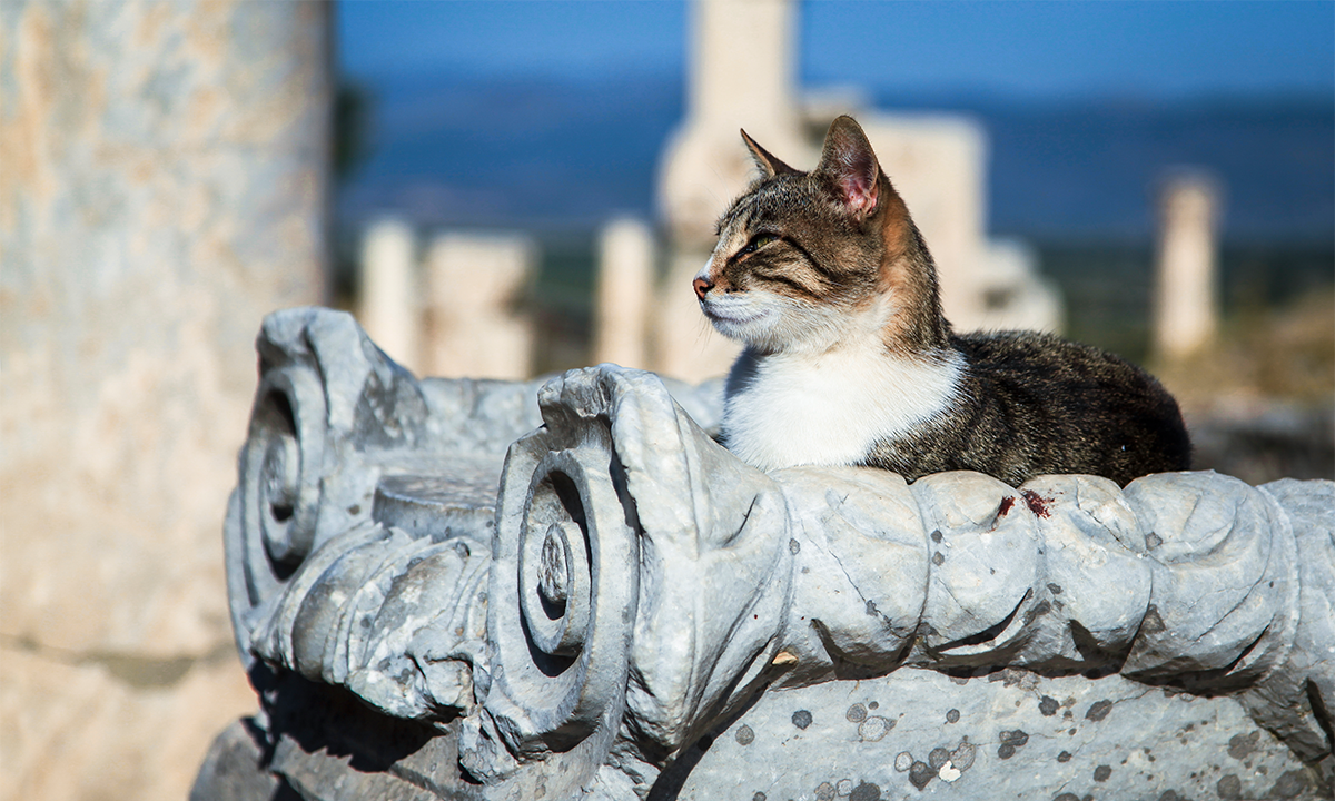 Article Recirculation Lead Image