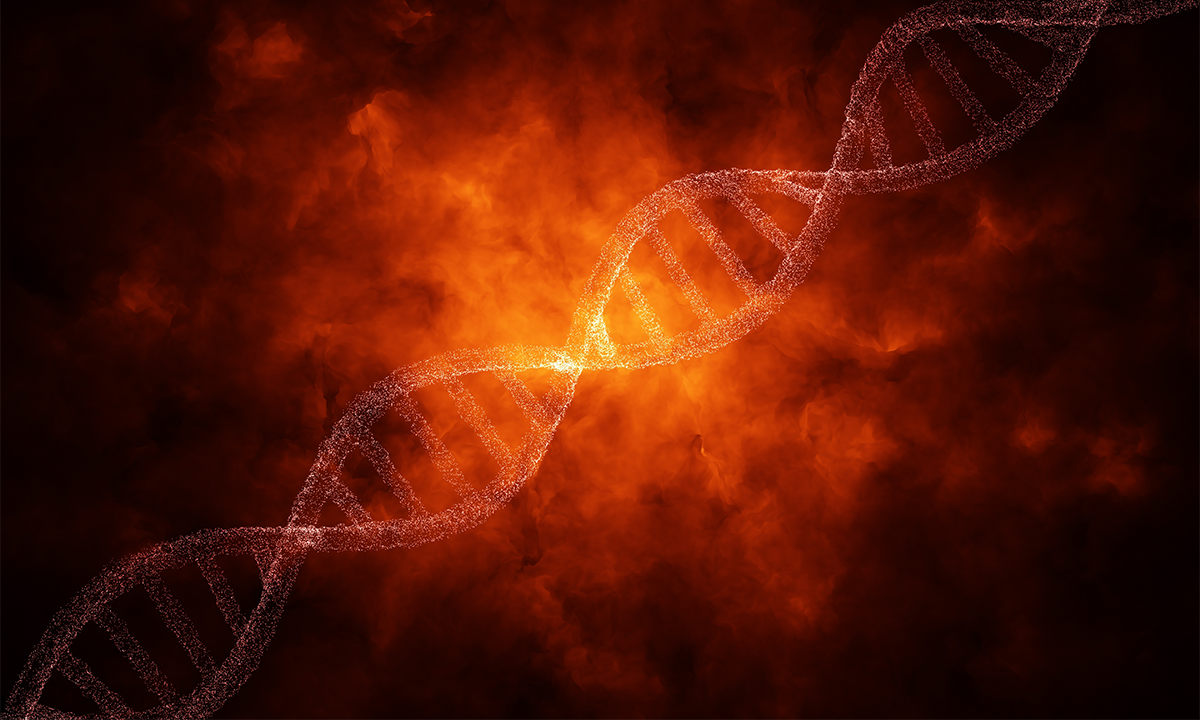 Was the Human Genome Forged by Fire?
