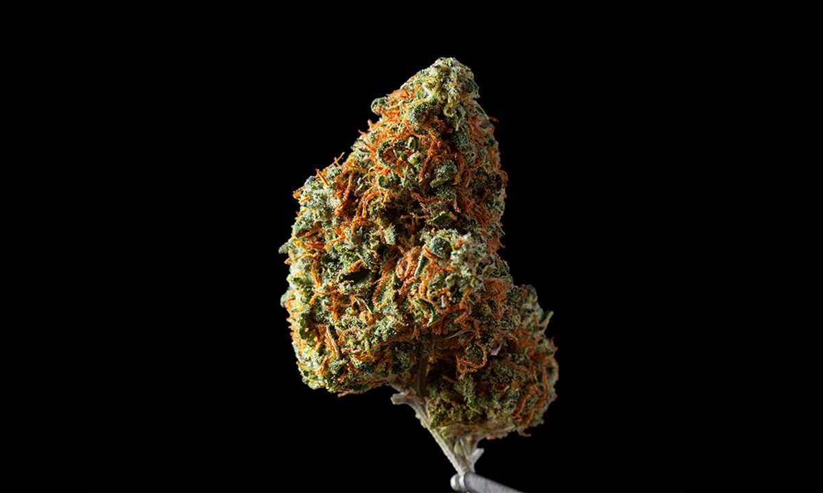 Article Recirculation Lead Image