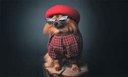 Article Sidebar Image