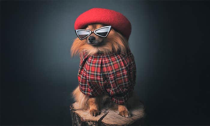 Article Recirculation Lead Image