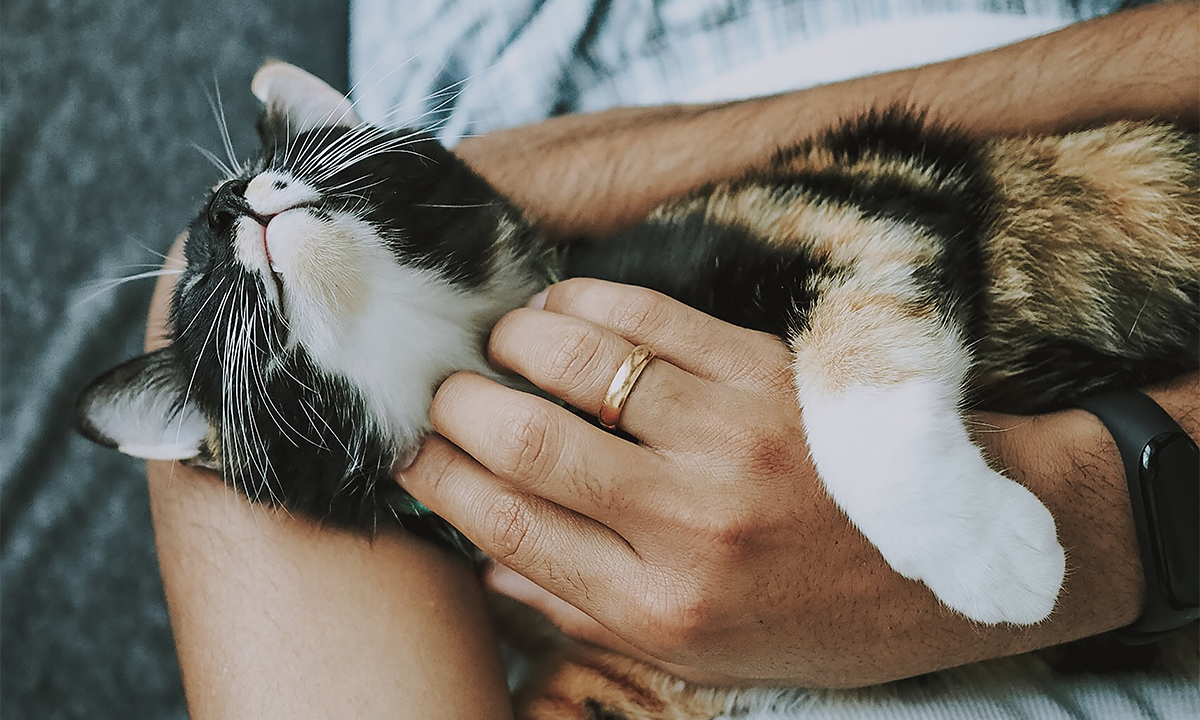 Article Sidebar Image