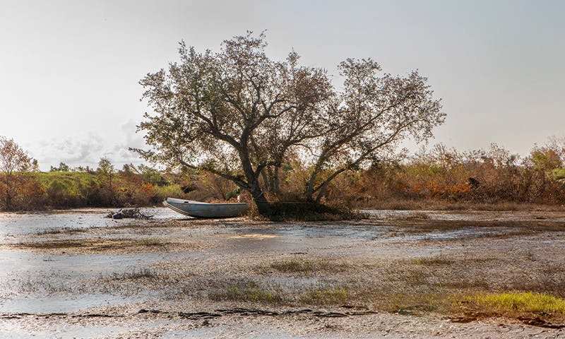 The Vanishing Coast of Louisiana