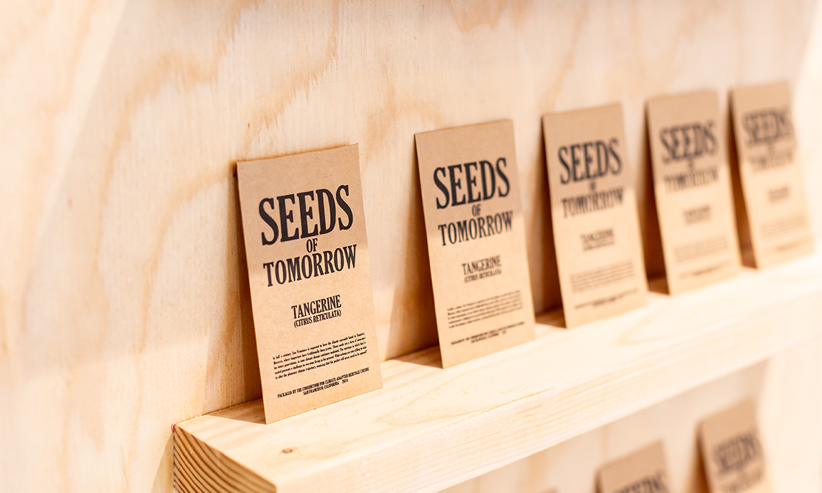 Article Sidebar Image