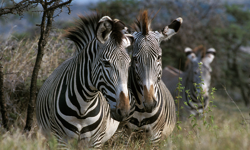 Article Recirculation Lead Image