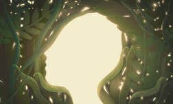 Article Sidebar Image