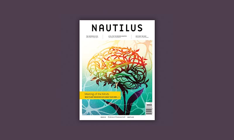 La plus haute vérité – Nautilus