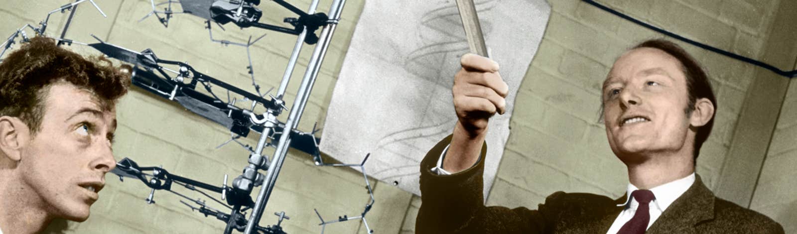 Изображение в начале статьи