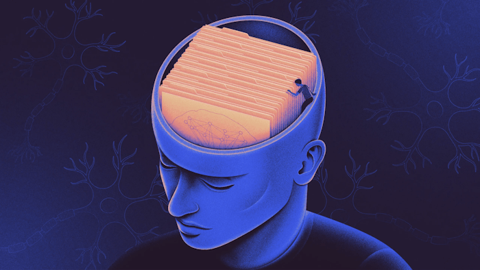 The Usefulness of a Memory Guides Where the Brain Saves It