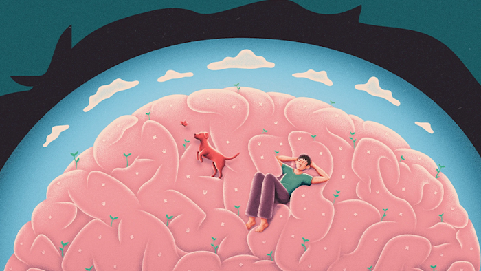 What Your Brain Is Doing When You’re Not Doing Anything