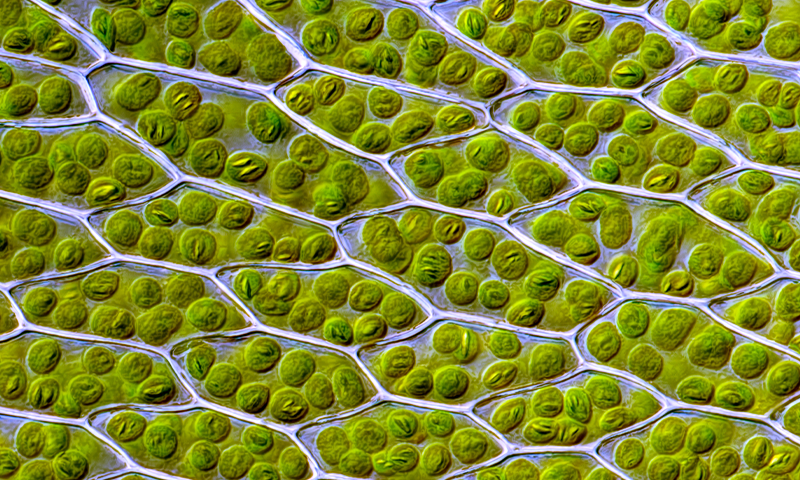 Article Recirculation Lead Image