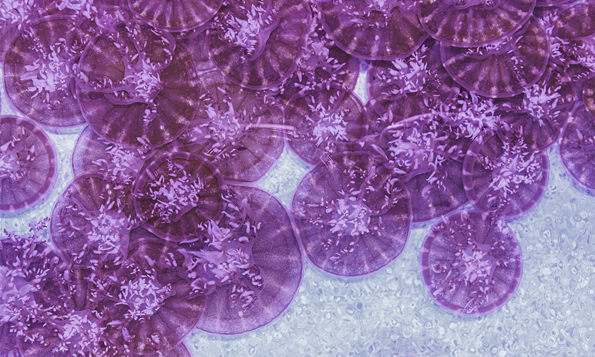 Article Sidebar Image