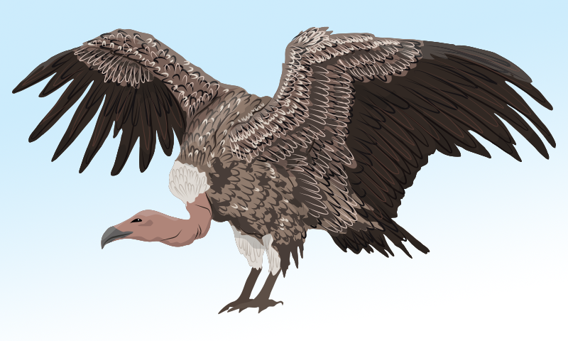 Article Recirculation Lead Image