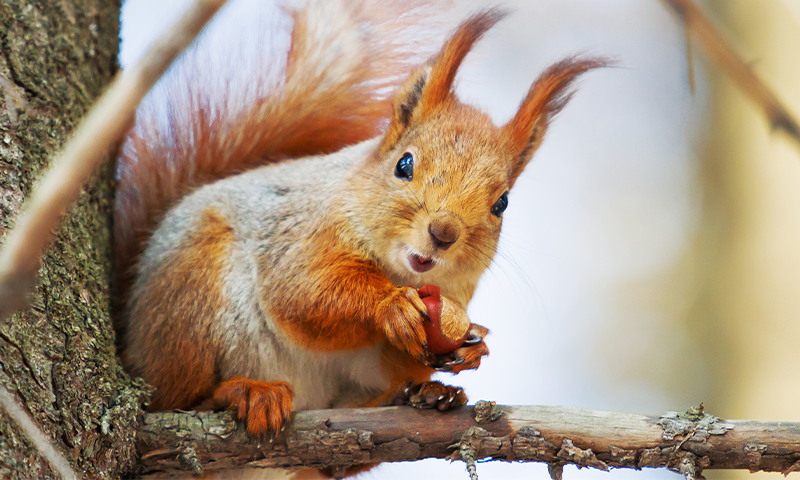 Article Recirculation Lead Image