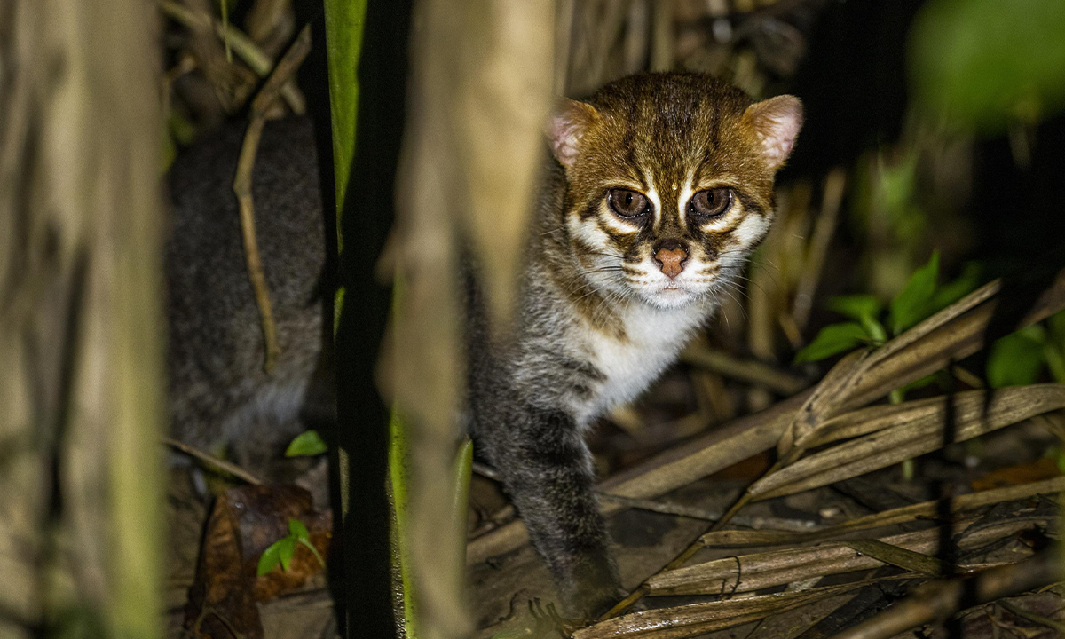 Article Sidebar Image