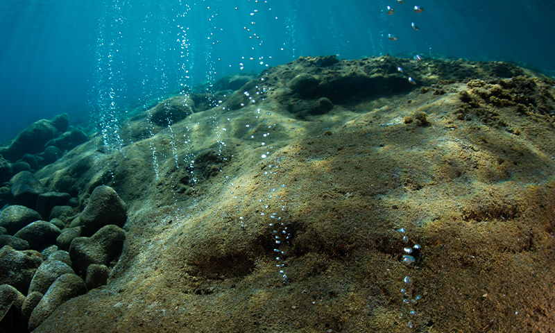 Article Recirculation Lead Image