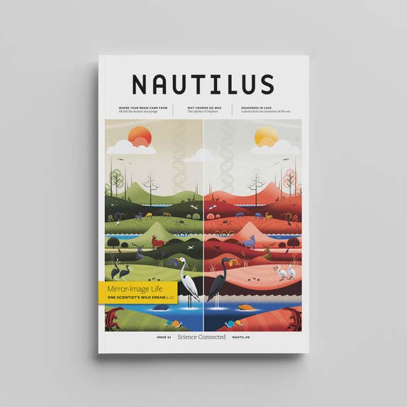Issue 052