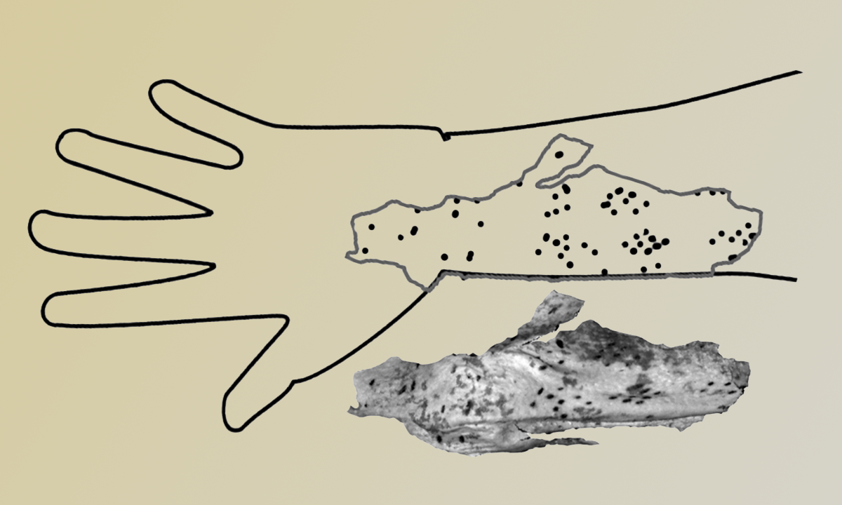 Article Sidebar Image