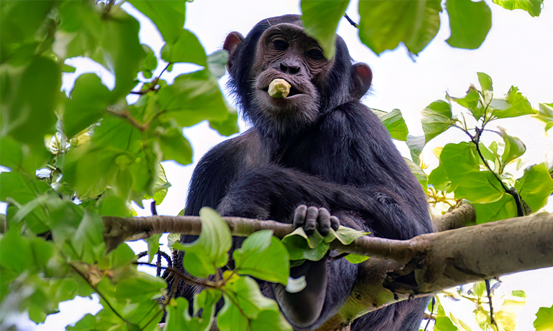 Article Recirculation Lead Image