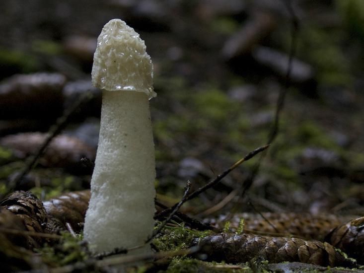 Article Recirculation Lead Image