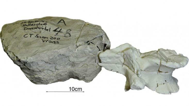 Article Recirculation Lead Image